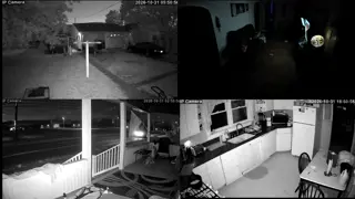 franktaylorlive - WELCOME TO THE STREAM, PLEASE BE NICE