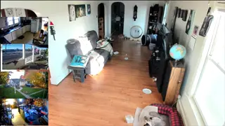 franktaylorlive - WELCOME TO THE STREAM, PLEASE BE NICE