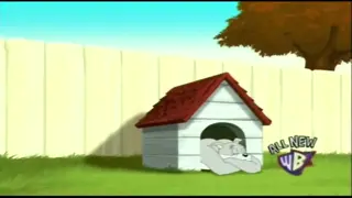 484 - 