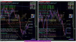 forextv - CyberBot 8 Pairs Forex Cypto Trading Signals Real-Time Trigger Scalping/Trend/Pivot 24/7 live free