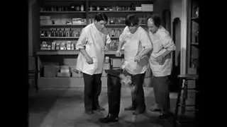 oldiesatnite2 - 