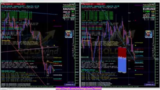 forextv - CyberBot 8 Pairs Forex Cypto Trading Signals Real-Time Trigger Scalping/Trend/Pivot 24/7 live free