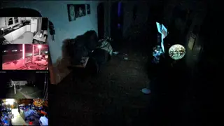 franktaylorlive - WELCOME TO THE STREAM, PLEASE BE NICE
