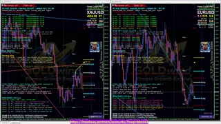 forextv - CyberBot 8 Pairs Forex Cypto Trading Signals Real-Time Trigger Scalping/Trend/Pivot 24/7 live free
