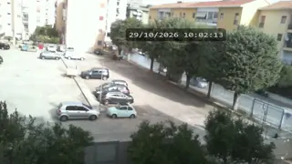 ninojack - 