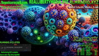 mad_dog_music - Unrestricted Instrumentals | Mad Dog Music