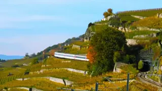 garystrains - GarysTrains: Relax, this is a branch line of garystrainlive