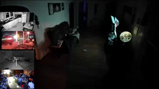 franktaylorlive - WELCOME TO THE STREAM, PLEASE BE NICE