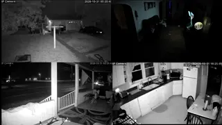 franktaylorlive - WELCOME TO THE STREAM, PLEASE BE NICE